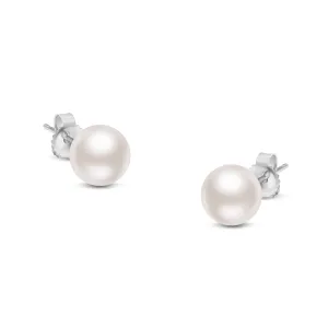 14K Gold Round White Saltwater Akoya Cultured Pearl Stud Earrings AAA  Quality - Choice of MM Size