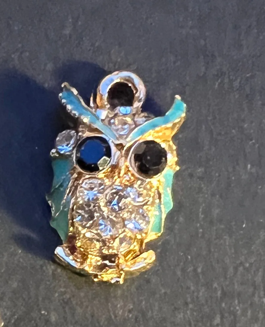 Choice of Charismatic Owl Charm / Pendants