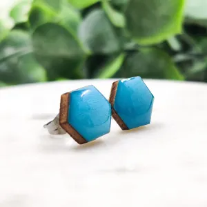 Desert Turquoise Hexagon Stud Earrings by Candi Cove Designs