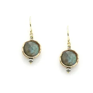 Luminous Circle Earring