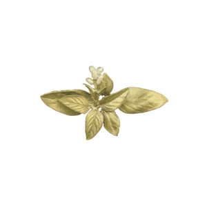 Sweet Basil Pin